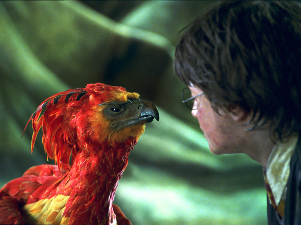 Fawkes the Phoenix